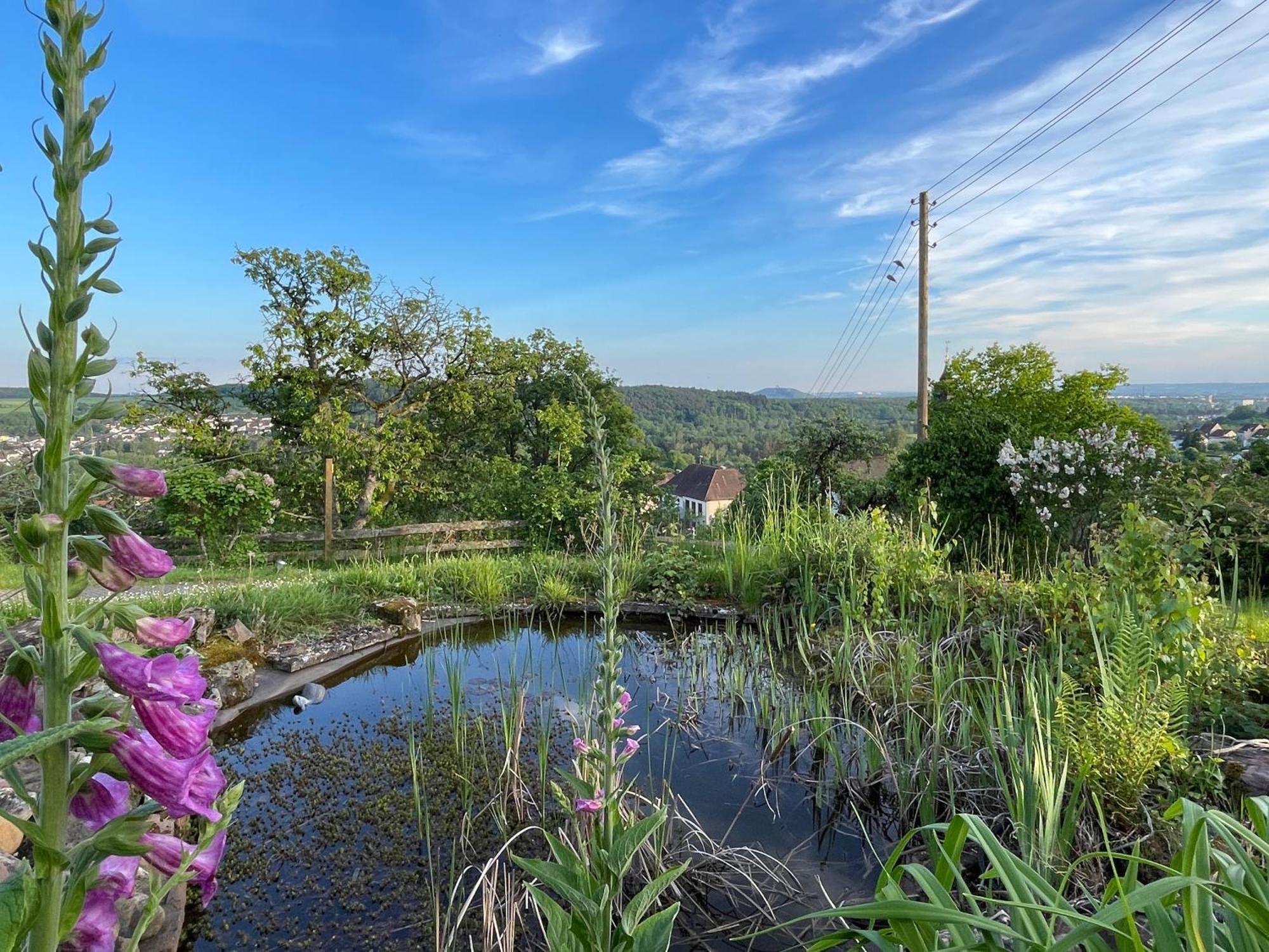 Villa Ueberblick Nalbach ภายนอก รูปภาพ